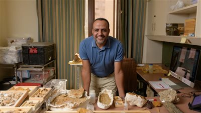 حيتان ووحش أعمارها تتجاوز 40 مليون سنة.. هشام سلام يعلن عرض عدد من الاكتشافات في المتحف الكبير | خاص 