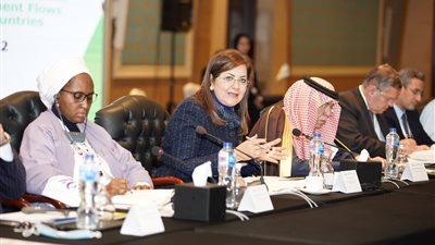 وزيرة التخطيط: أهمية الاستفادة من الإمكانات المادية البشرية في المنطقتين العربية والإفريقية 