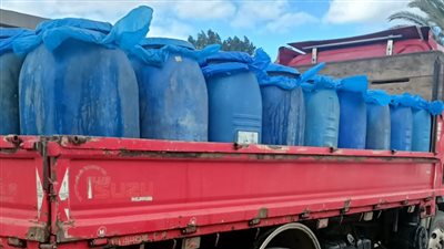 قبل رمضان.. ضبط نصف طن خرشوف مجهول المصدر في الإسكندرية 