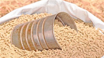 1100 جنيه تراجعا في سعر طن الردة المحلي خلال أسبوعين