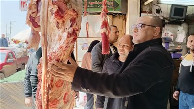 محافظ كفر الشيخ: تحرير 361 محضرًا للمخالفين من التجار| صور 