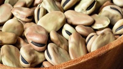 بث مباشر | غرفة الحبوب تعلن تراجع سعر الفول المستورد.. وبرميل البترول يواصل الانخفاض