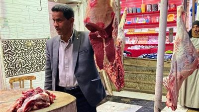 تحرير 41 محضرًا تموينيًا وغلق مخبز ومقهى خلال حملة مكبرة بأسوان