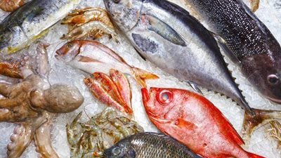 أسعار الأسماك اليوم السبت 26-3-2022 في الأسواق