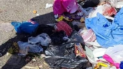 كشف ملابسات العثور على أشلاء جثة على قضبان السكة الحديد بطنطا