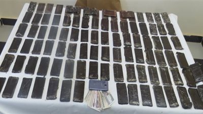 حبس 33 تاجر مخدرات ضبطوا بحملة أمنية بالقليوبية