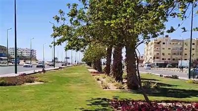 بث مباشر | طقس معتدل على كفر الشيخ نهارا وشديد البرودة ليلا.. ونشاط الرحلات البحرية بالبحر الأحمر