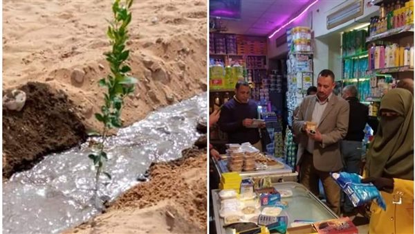 تحرير17 محضر متنوع