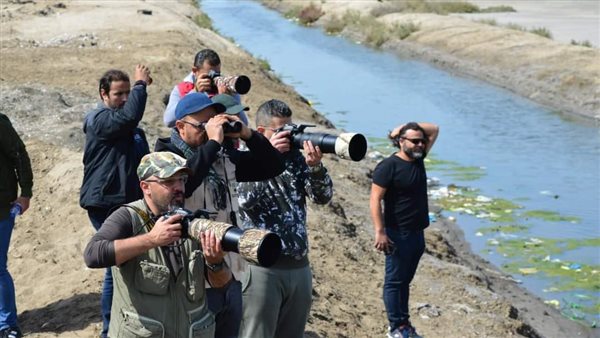 تصوير ومراقبة الطيور