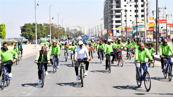 محافظ أسوان