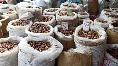 البلح ب15 جنيهًا والمشمشية ب180.. إقبال على شراء ياميش رمضان بالدقهلية 