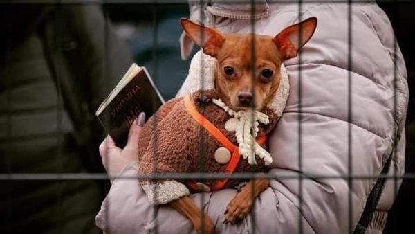 مشروع قانون جديد