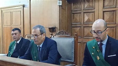 جنايات المنصورة تنظر محاكمة المتهم بقتل شاب بسبب خلاف على ثمن الجبنة