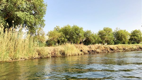 محمية سالوجا وغزال