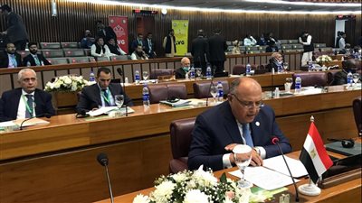 سامح شكري يُعلق على الأوضاع في سوريا والسودان واليمن والصومال