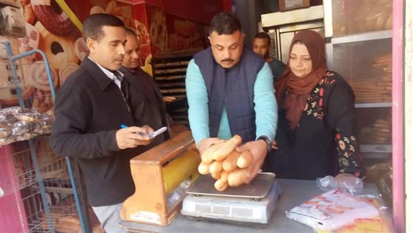 حملات تفتيشية بالمنيا