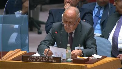 أبو الغيط بمجلس الأمن: الأزمات العربية لن تجد طريقًا للحل جراء الصراع الروسي الأوكراني