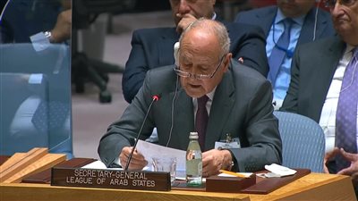 ليبيا واليمن وسوريا وفلسطين.. أبو الغيط يستعرض الأزمات العربية أمام مجلس الأمن 