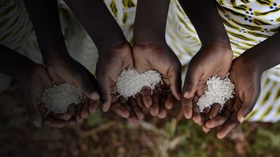 المنتدى الاقتصادي: من المرجح أن يؤثر الغزو الروسي لأوكرانيا على الأمن الغذائي العالمي