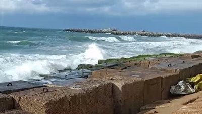 ارتفاع كبير للأمواج ونشاط الرياح.. طقس غير مستقر وأمطار متقطعة على الإسكندرية |بث مباشر 