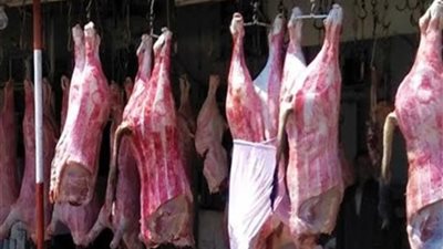 الثروة الداجنة: 10% ارتفاعا في إنتاج اللحوم الحمراء محليا.. ونتجه نحو الاكتفاء الذاتي