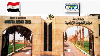 البحوث الزراعية تحصد المركز الرابع ضمن أفضل مركز بحثي بالشرق الأوسط وشمال إفريقيا