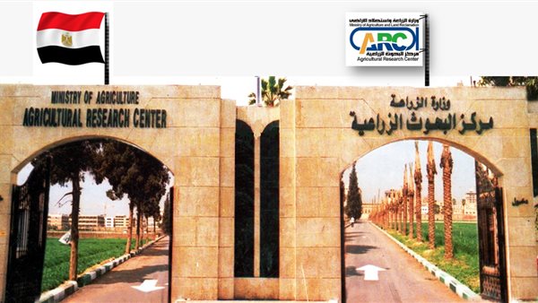 البحوث الزراعية 