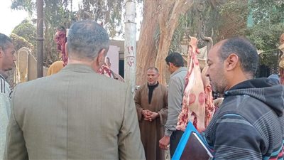 تحرير 29 محضرًا لمخالفات تموينية متنوعة في الواسطى ببني سويف