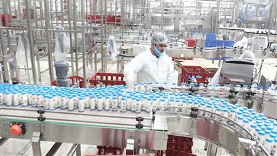 غلق مصنع ألبان وجبنة لانتشار العناكب بالأسقف.. صالة الإنتاج مطلة على دورة المياه