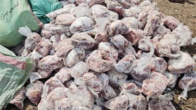 إعدام 2 طن لحوم فاسدة و200 كيلو تمر و130 لتر زيت بالدقهلية