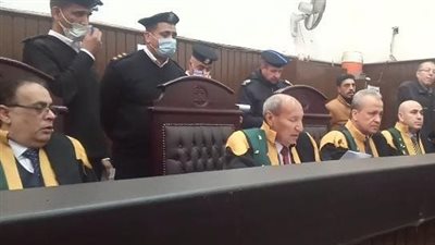 المتهمة سرقت أجندة الجلسات.. ننشر التحقيقات في اتهام 9 محامين بالتجمهر واستعمال القوة