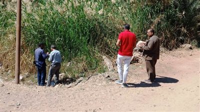 تنظيم حملة لرش المبيدات لمواجهة الأمراض الوبائية والمعدية بقرية أبو الريش