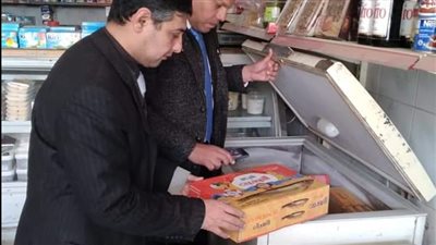 ضبط 70 كيلو رنجة ولحوم مجهولة المصدر وتحرير 12 محضر تمويني في كفر الشيخ