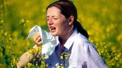 بريطانيا تحذر من ارتفاع معدل الإصابة بحمى القش