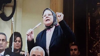 نائبة: التلوث البيئي نشر ثقافة القبح في المجتمع