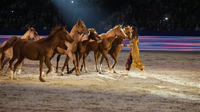 إنطلاق مسابقات المرحلة الثانية ل”التبوريدة” فى اليوم الثانى من معرض الفرس للجديدة بالمغرب