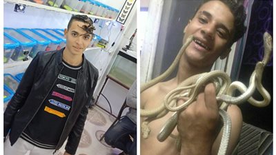 ومن السم دواءُ.. قصة شباب يحيون بين ذيول العقارب وأنياب الثعابين ويكشفون عالمهم السحري