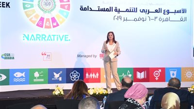 وزيرة التخطيط: ارتفاع نسبة النساء اللاتي لديهن حسابات بنكية إلى 27%