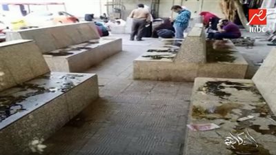 عميدة طب القصر العيني تكشف تفاصيل وقف موظف بسبب إلقاء الزيت على أماكن الانتظار (فيديو)