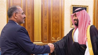 “يضمن وحدته وسلامة أراضيه”.. مصر تُرحب باتفاق الرياض بشأن التسوية في اليمن