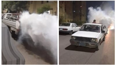 “مكافحة ناقلات الأمراض” تكشف أسباب انتشار الذباب في العاشر من رمضان وطرق مواجهته (صور)