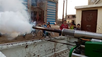 وحدة الملاريا تجوب شوارع كفر الشيخ لمكافحة انتشار الذباب