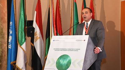 “التخطيط”: إنشاء مرصد للتجارة الإفريقية.. و10 مليارات دولار إجمالي استثمارات مصر في إفريقيا