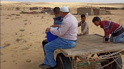 فرق التطعيم ضد شلل الأطفال بشمال سيناء تستعين بعربات كارو للوصول للمناطق البعيدة | صور