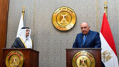 شكري: مشاركة مصر في اجتماعات إسرائيل ليست لإنشاء تحالف ضد أي طرف