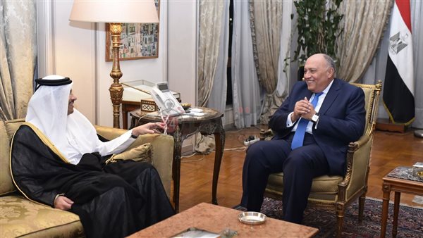 شكري ونظيره القطري