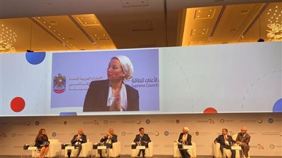 وزيرة البيئة تشارك في جلسة نقاشية على هامش أسبوع المناخ بدبي