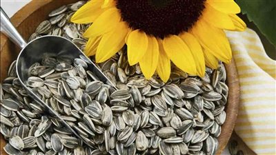 هل بذور عباد الشمس صالحة للدايت؟