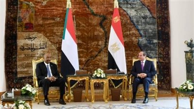 مصر والسودان يؤكدان تمسكهما بالتوصل إلى اتفاق قانوني ملزم بشأن سد النهضة