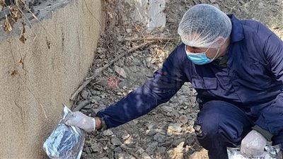 صحة المنيا: حملات مكثفة لمكافحة الحشرات الضارة ومسببات الأمراض